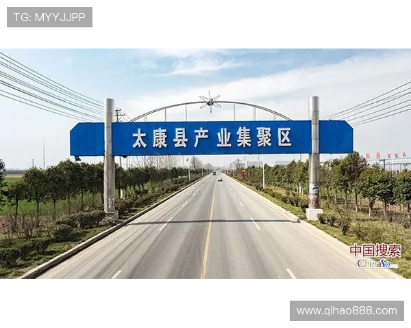 全运会带动赛事经济全面升温激发澎湃发展动能助推城市活力迸发势