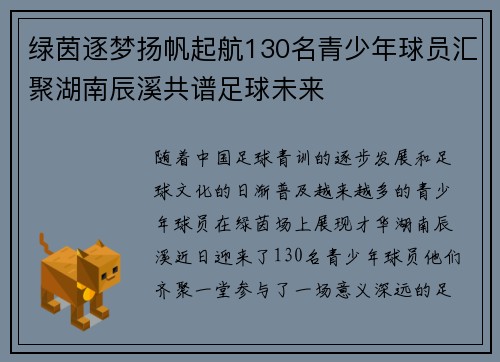 绿茵逐梦扬帆起航130名青少年球员汇聚湖南辰溪共谱足球未来